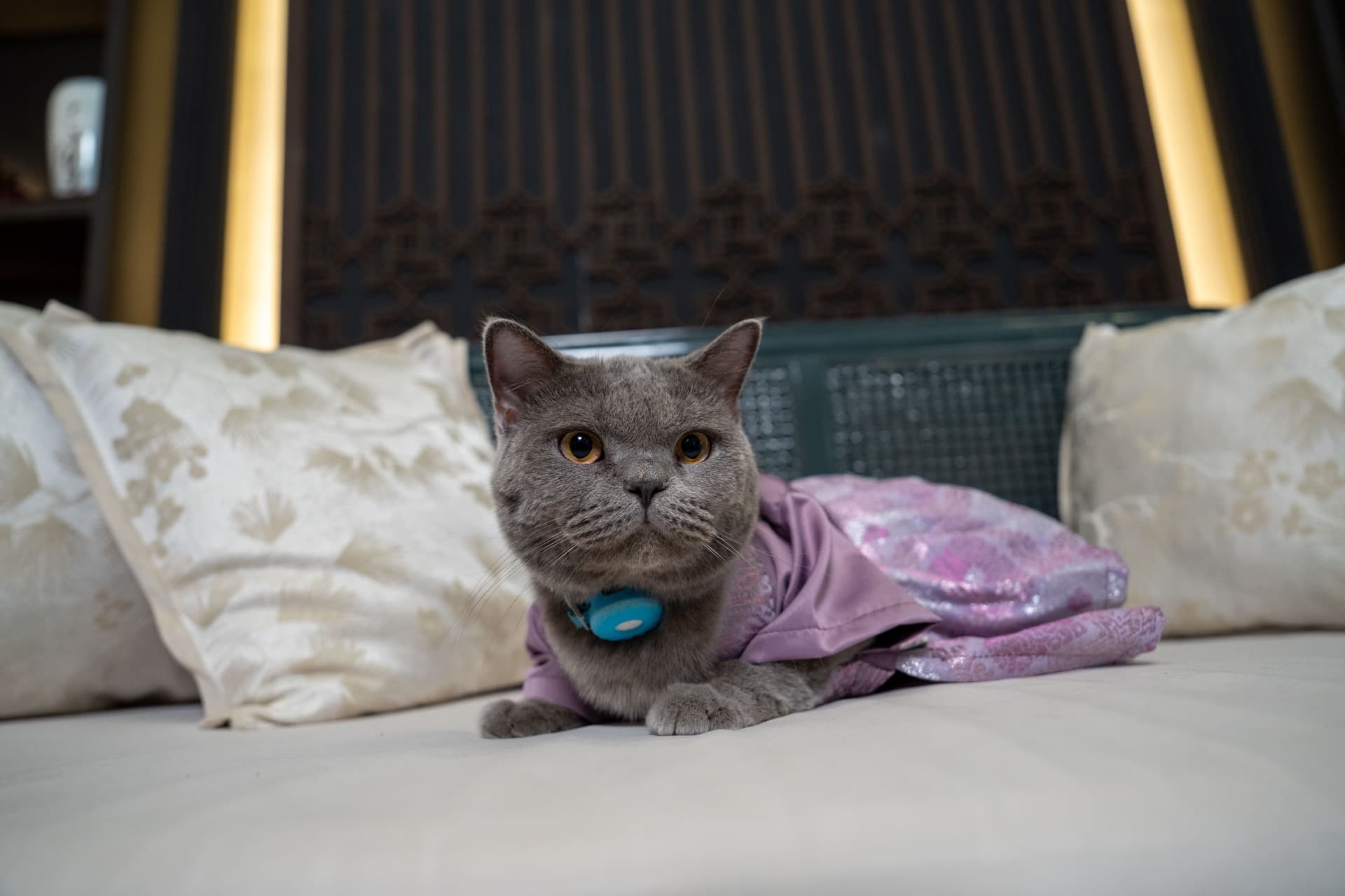 TØIFILMS Portrait 4